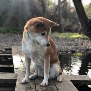 Meet your Posher, Bill